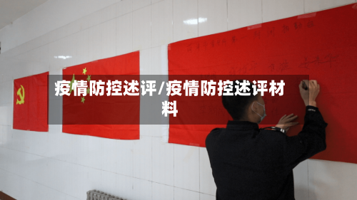 疫情防控述评/疫情防控述评材料