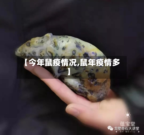 【今年鼠疫情况,鼠年疫情多】