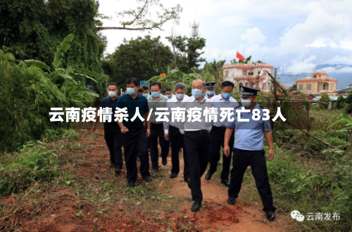 云南疫情杀人/云南疫情死亡83人