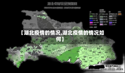 【湖北疫情的情况,湖北疫情的情况如何】