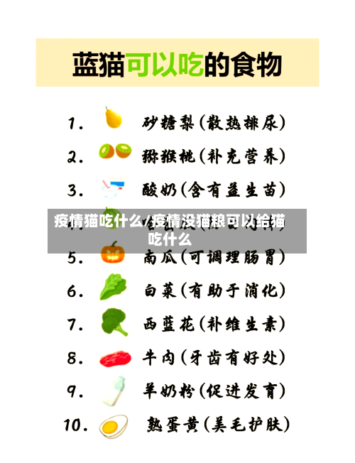 疫情猫吃什么/疫情没猫粮可以给猫吃什么-第2张图片