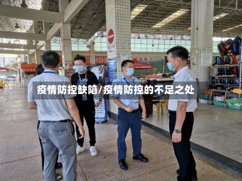 疫情防控缺陷/疫情防控的不足之处