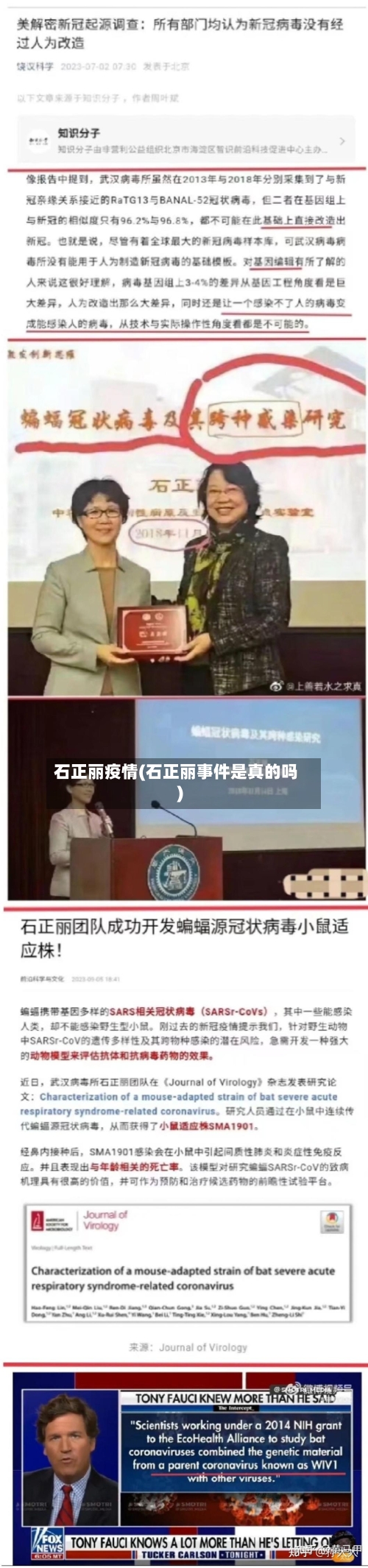 石正丽疫情(石正丽事件是真的吗)