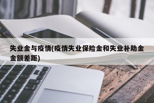 失业金与疫情(疫情失业保险金和失业补助金金额差距)