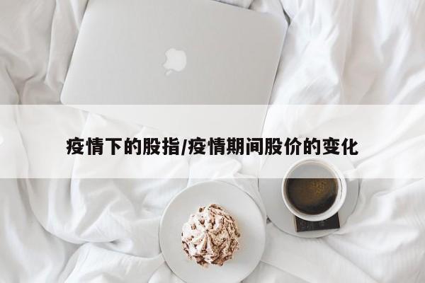 疫情下的股指/疫情期间股价的变化